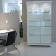 Vitrine Fibula Gruber + Schlager