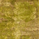 JanKath_Teppich_JungleAerialForest