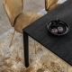 Janua_s600_tisch_03