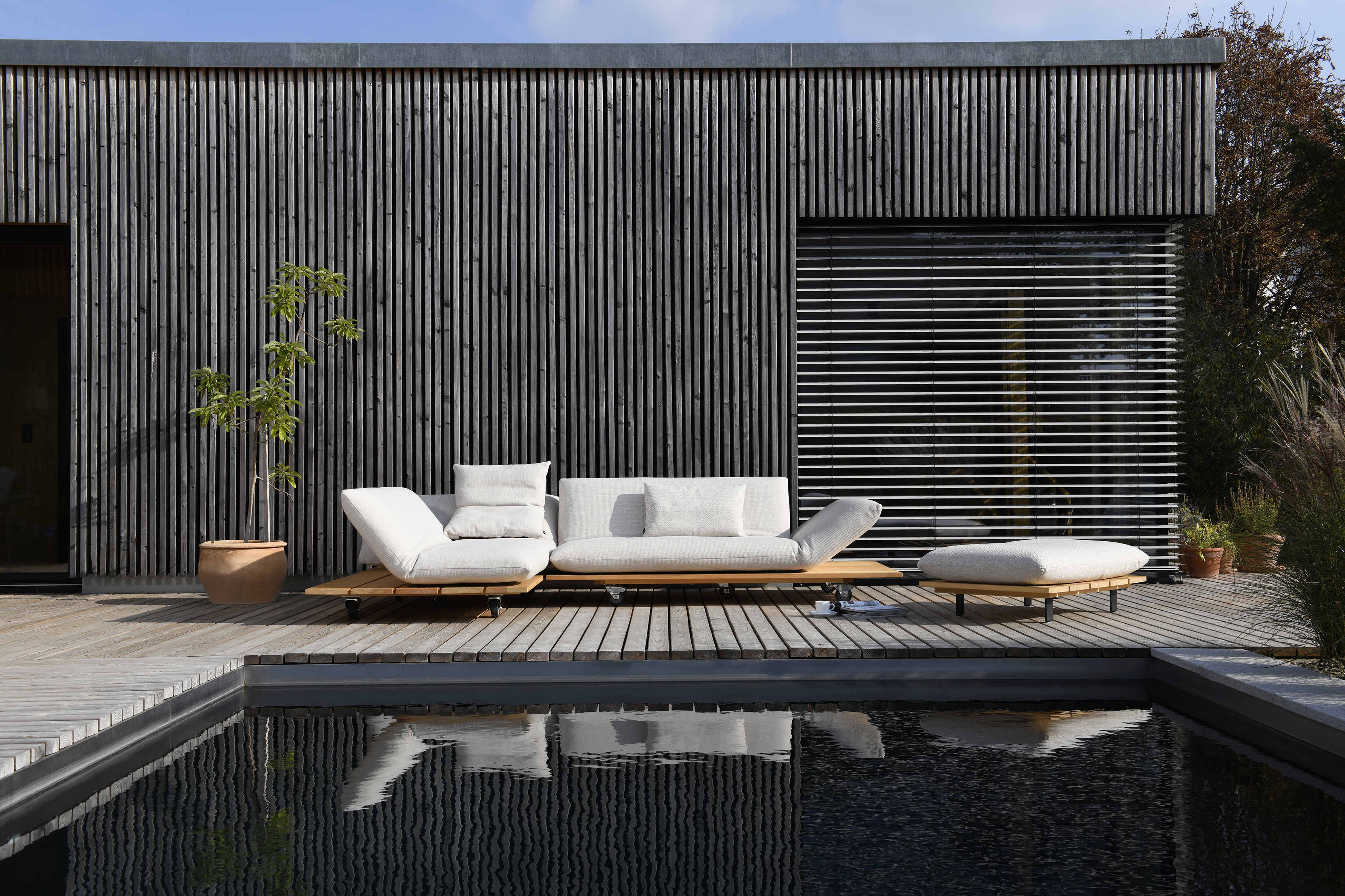 Bullfrog_Outdoor_Akito