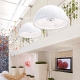 skygarden